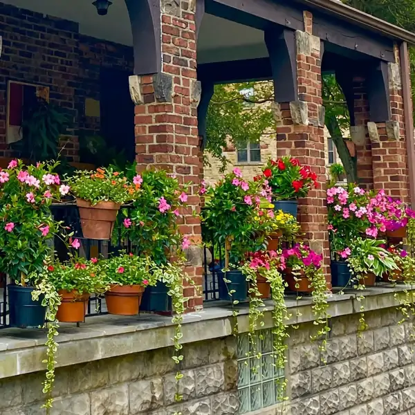 Hanging Flower Pots for Home Kitchens are Commonly Used On Balconies with Iron Hollow Hanging Leaves to Decorate The Stable Garden Green Well Hanging Flower Baskets (Champagne) - Image 13
